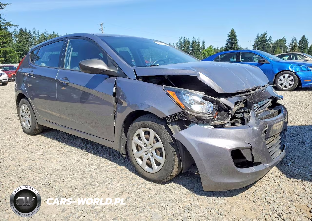 2014 Hyundai Accent Gs VIN:KMHCT5AE3EU168366 - 4
