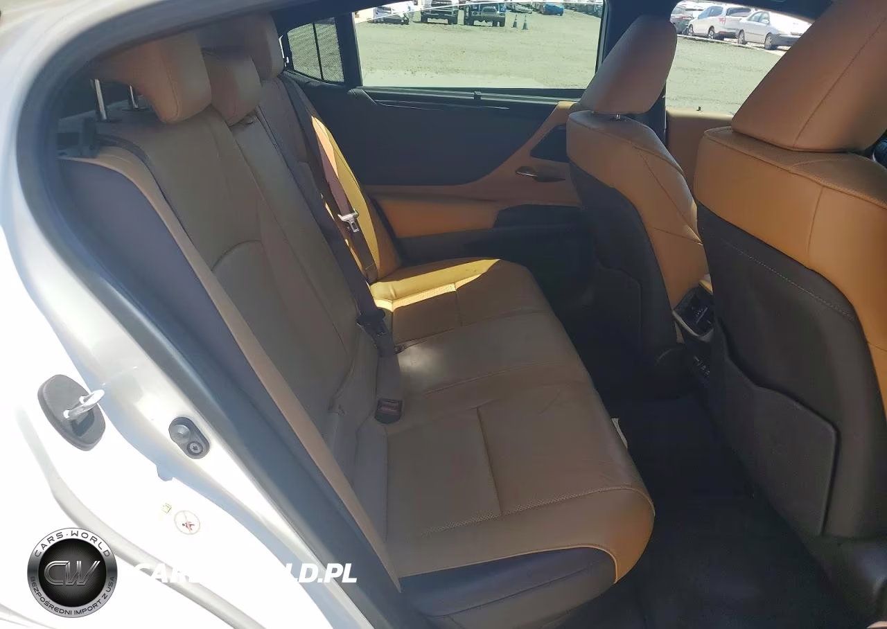 2019 Lexus Es 300H VIN:JTHB21B1XK2024780 - 10