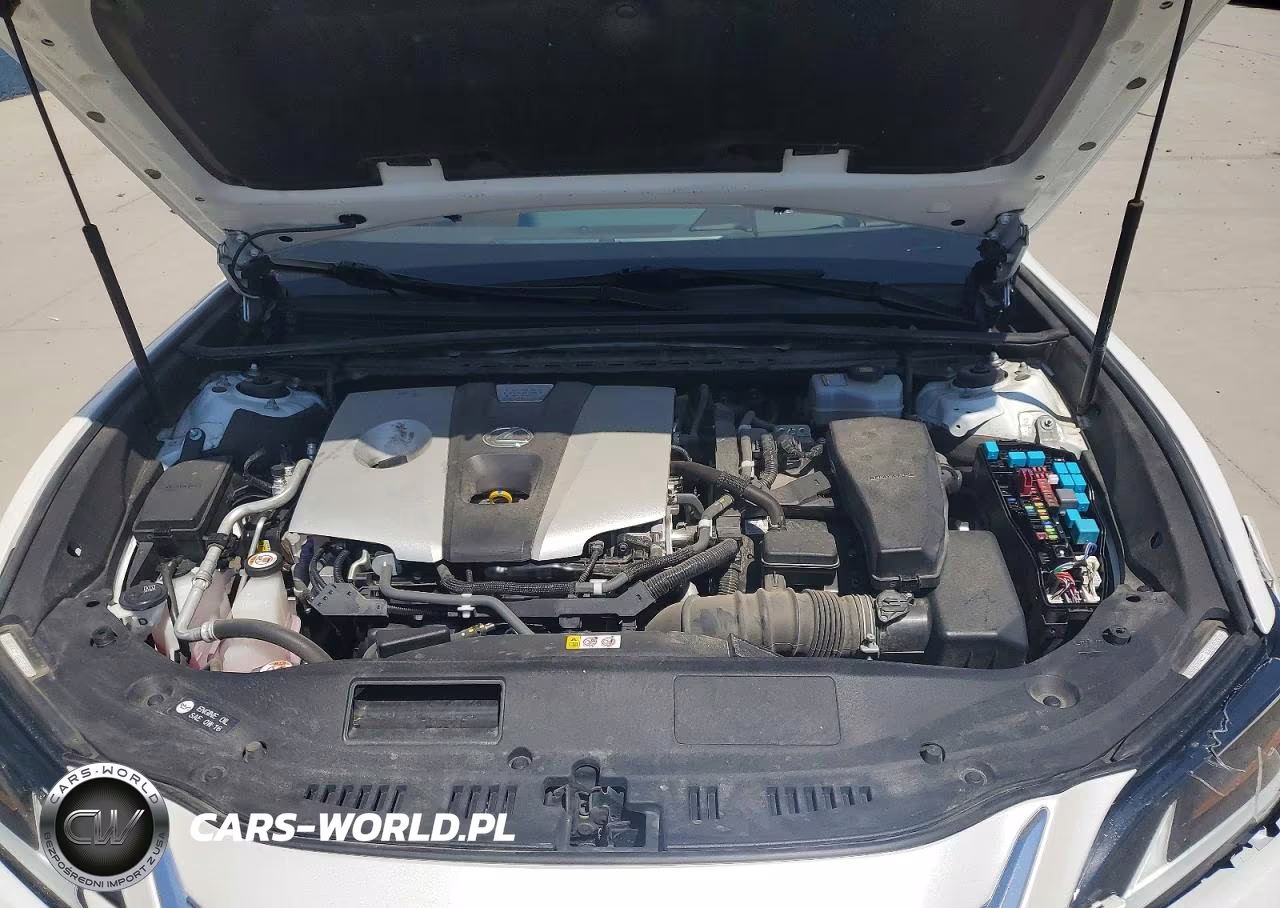 2019 Lexus Es 300H VIN:JTHB21B1XK2024780 - 11