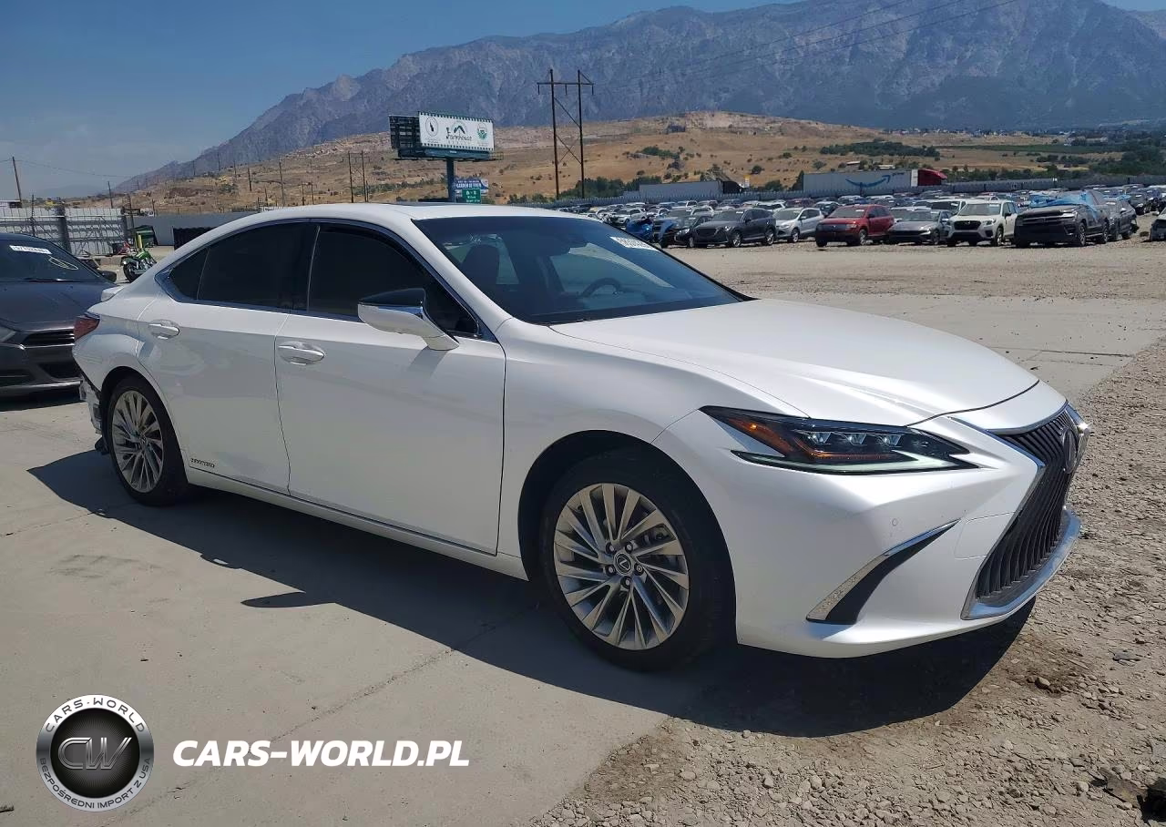 2019 Lexus Es 300H VIN:JTHB21B1XK2024780 - 4