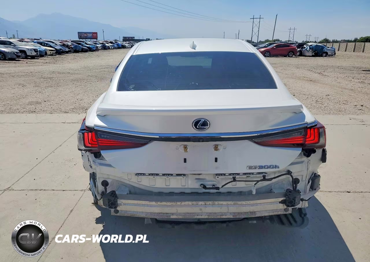 2019 Lexus Es 300H VIN:JTHB21B1XK2024780 - 6