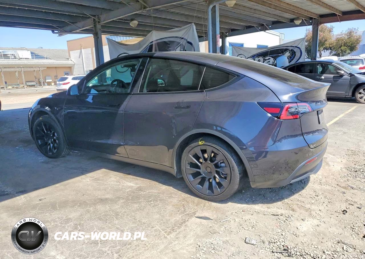 2024 Tesla Model Y VIN:7SAYGDEDXRF057938 - 2