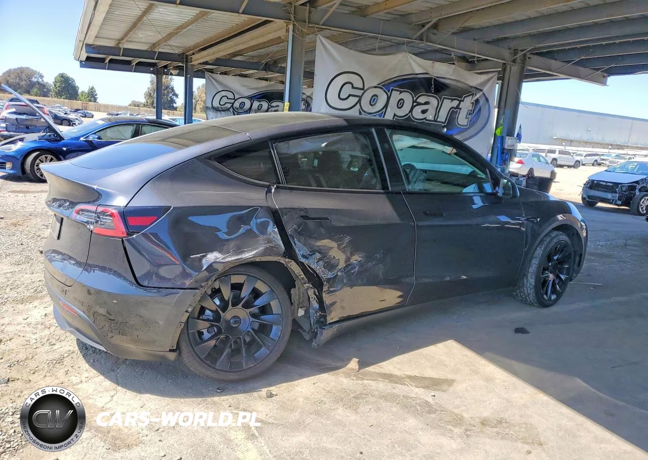 2024 Tesla Model Y VIN:7SAYGDEDXRF057938 - 3