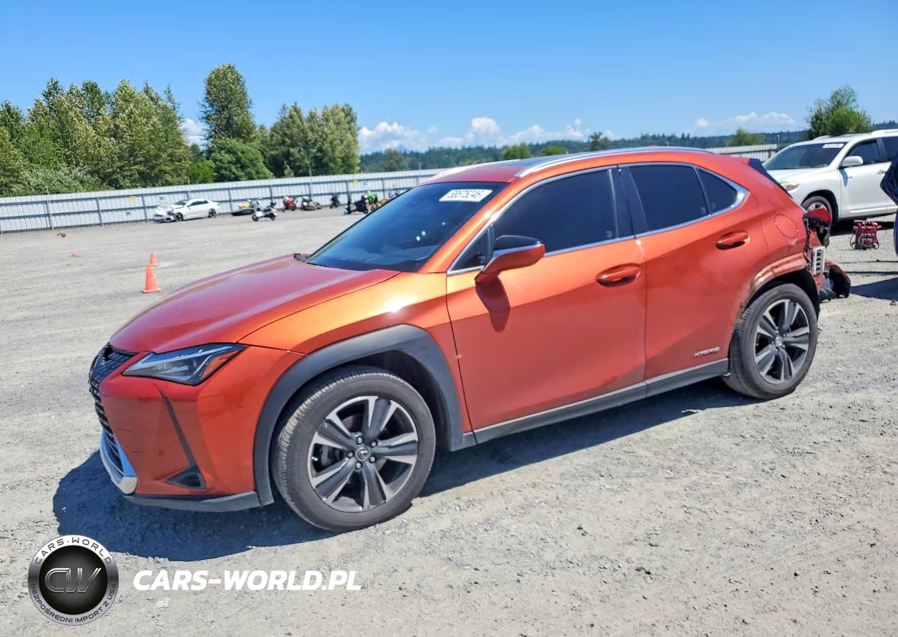 LEXUS UX 250H