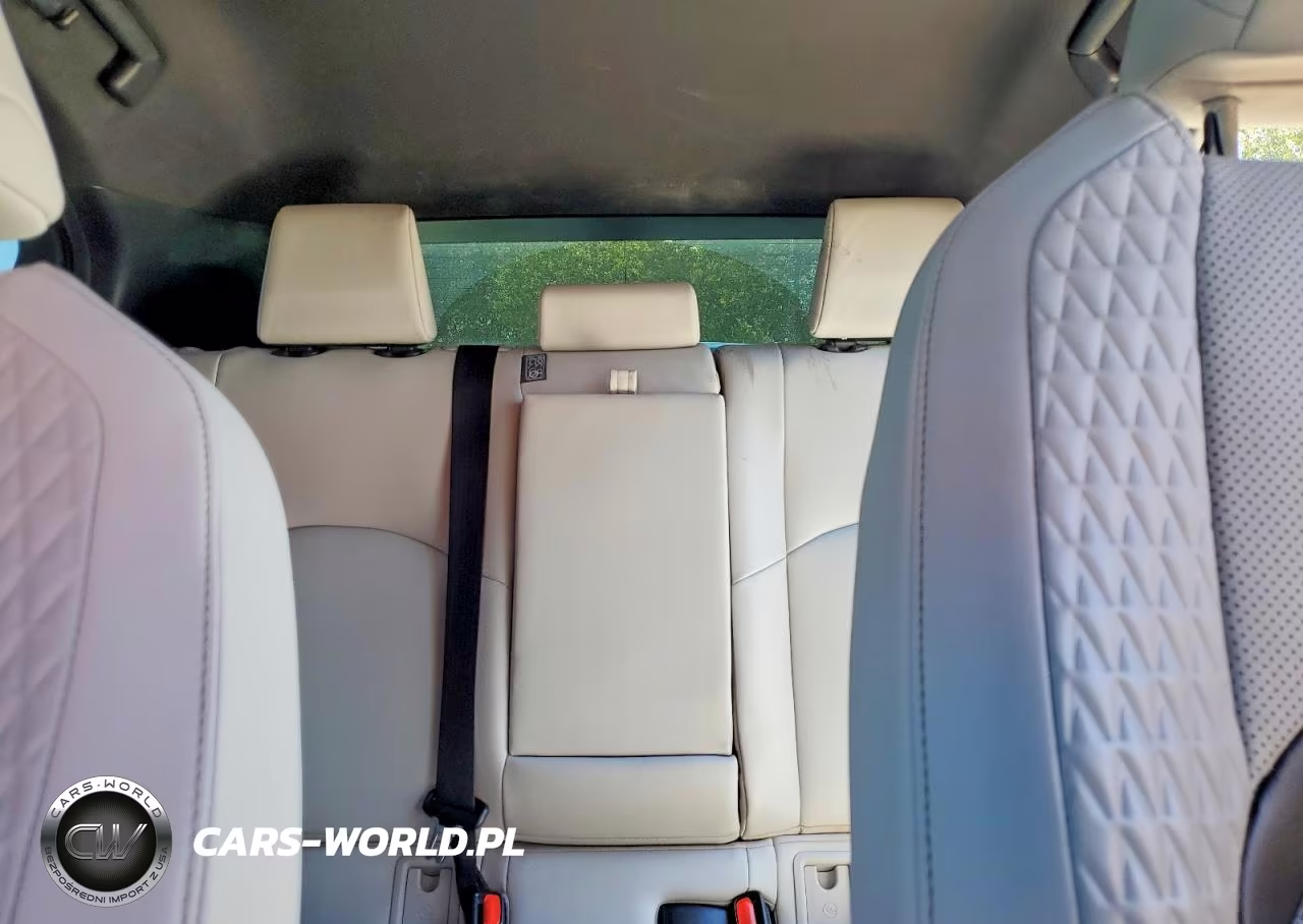 LEXUS UX 250H VIN:JTHP9JBH4L2022331 - 10