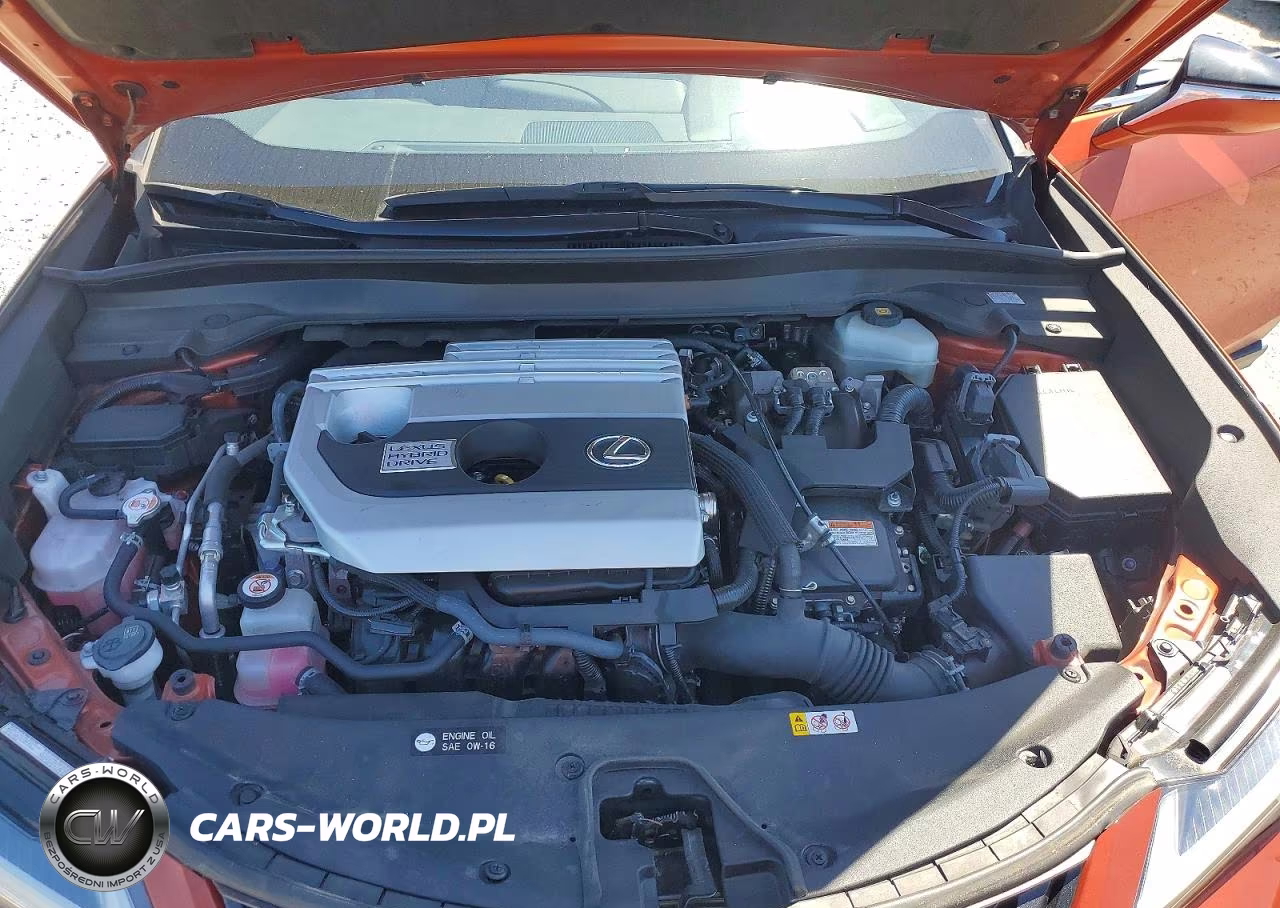 LEXUS UX 250H VIN:JTHP9JBH4L2022331 - 12
