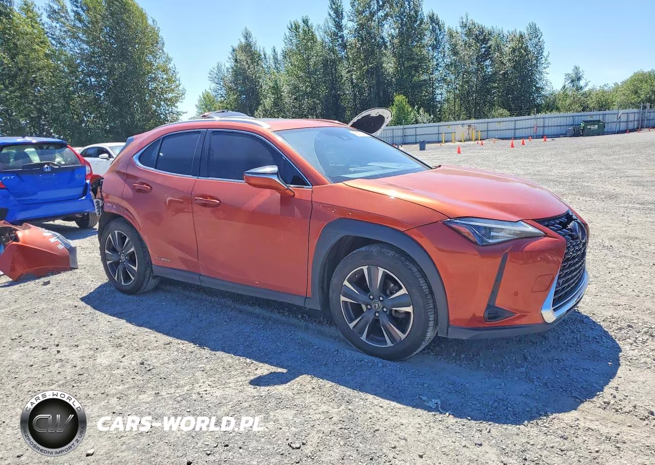 LEXUS UX 250H VIN:JTHP9JBH4L2022331 - 4