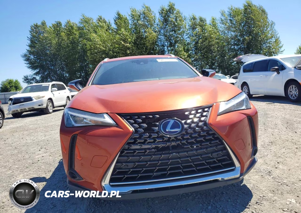 LEXUS UX 250H VIN:JTHP9JBH4L2022331 - 5