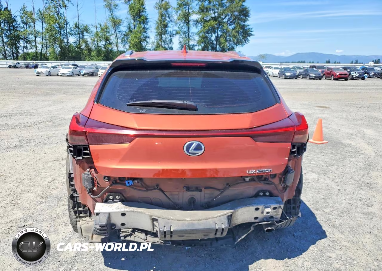 LEXUS UX 250H VIN:JTHP9JBH4L2022331 - 6