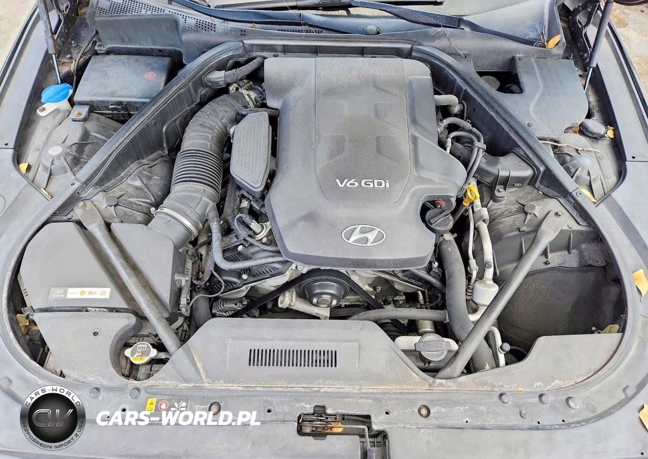 2016 Hyundai Genesis 3.8 VIN:KMHGN4JEXGU122090 - 11