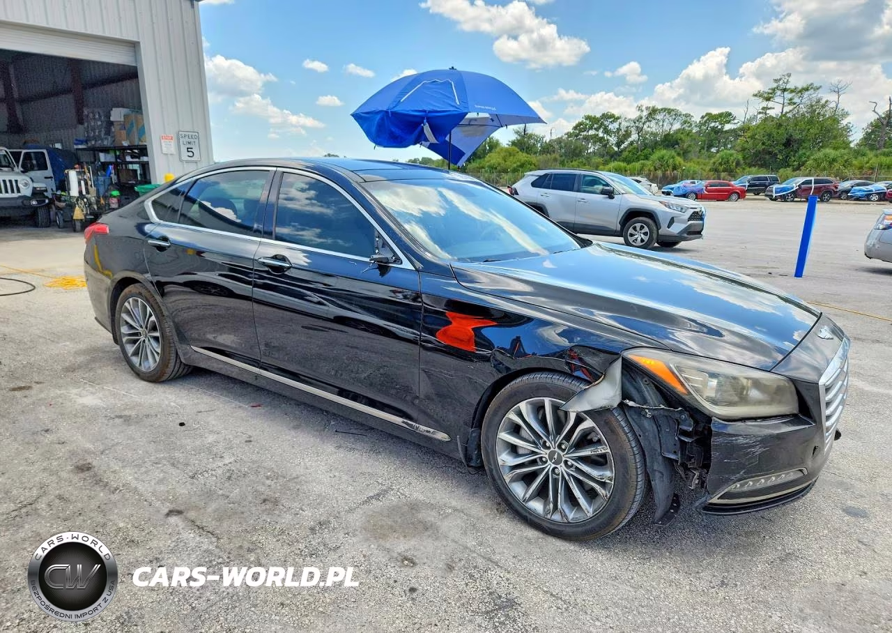 2016 Hyundai Genesis 3.8 VIN:KMHGN4JEXGU122090 - 4