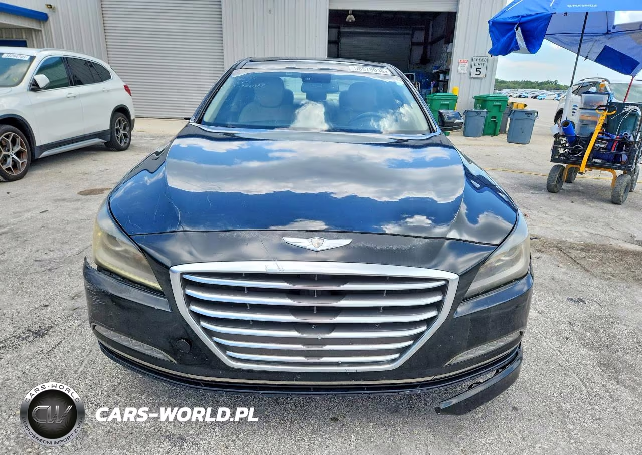 2016 Hyundai Genesis 3.8 VIN:KMHGN4JEXGU122090 - 5