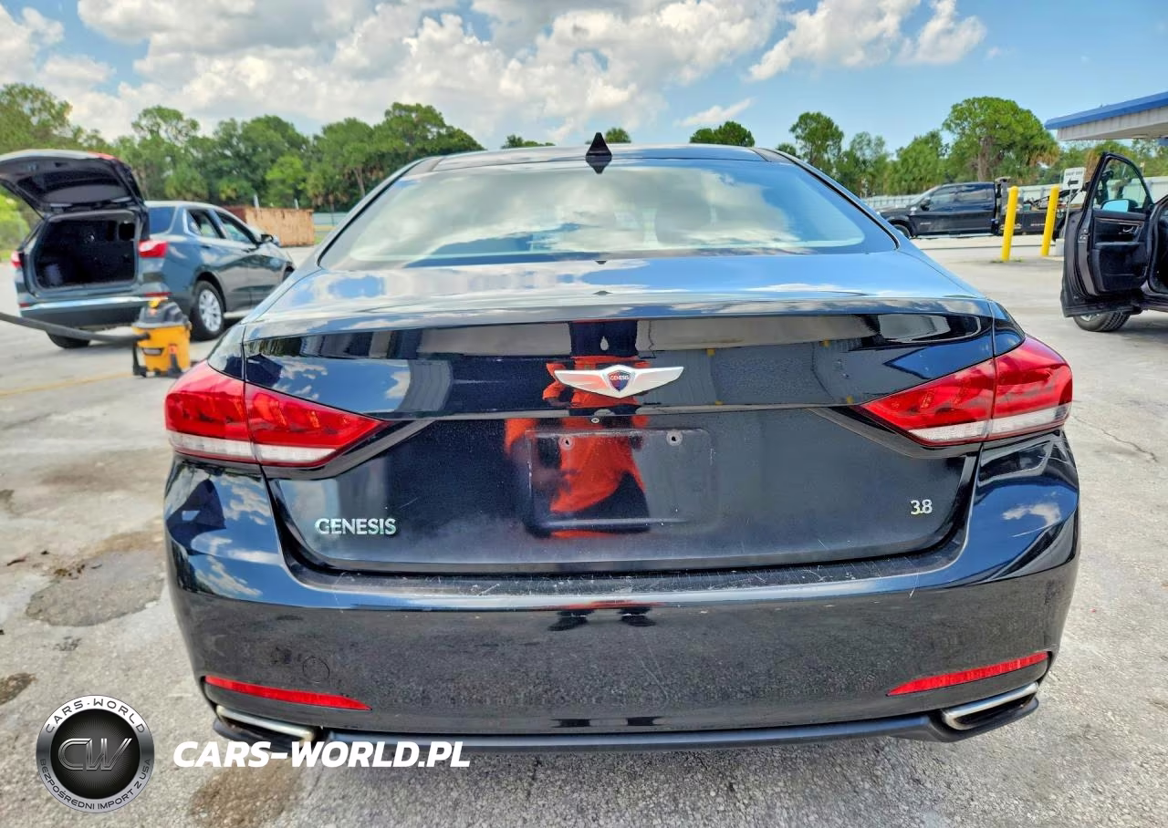 2016 Hyundai Genesis 3.8 VIN:KMHGN4JEXGU122090 - 6