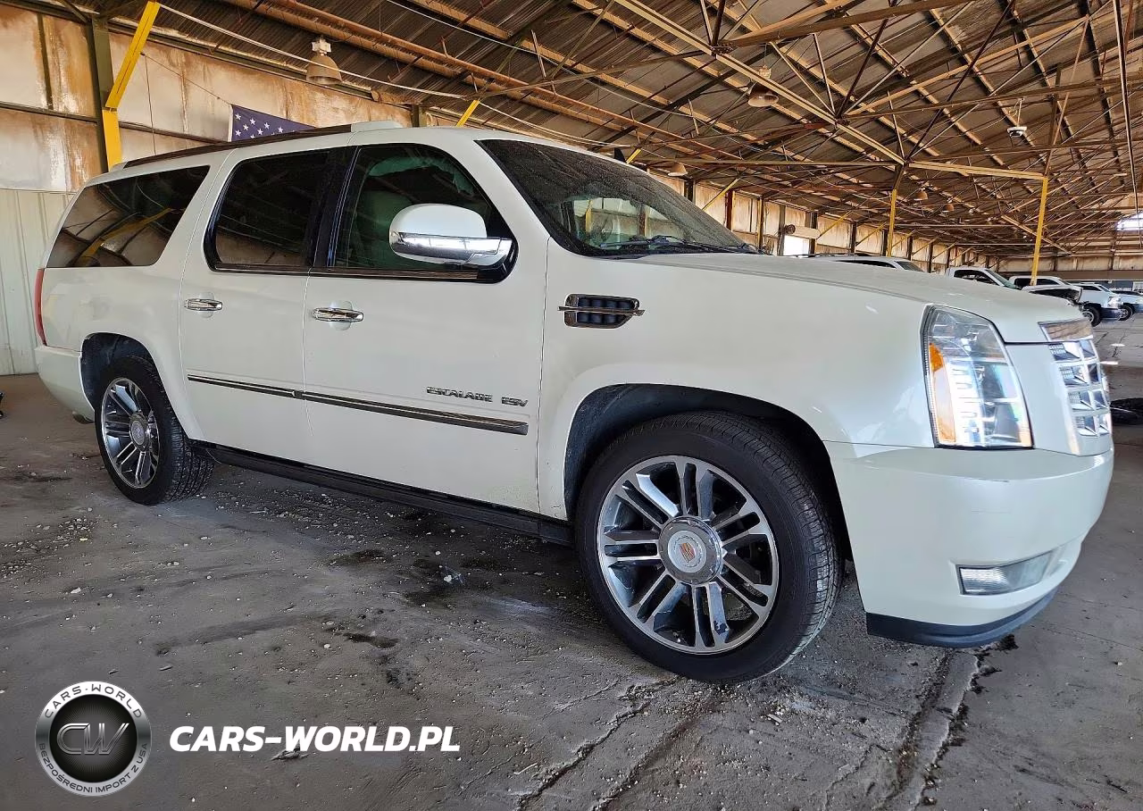 2012 Cadillac Escalade Esv Luxury VIN:1GYS4HEF2CR316650 - 4