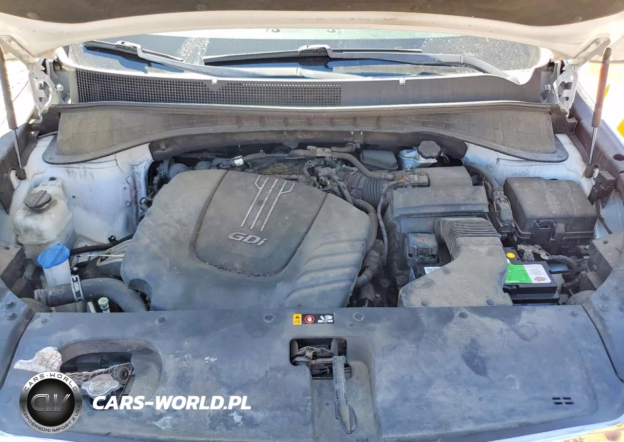 2017 Kia Sorento Lx VIN:5XYPGDA59HG196148 - 12