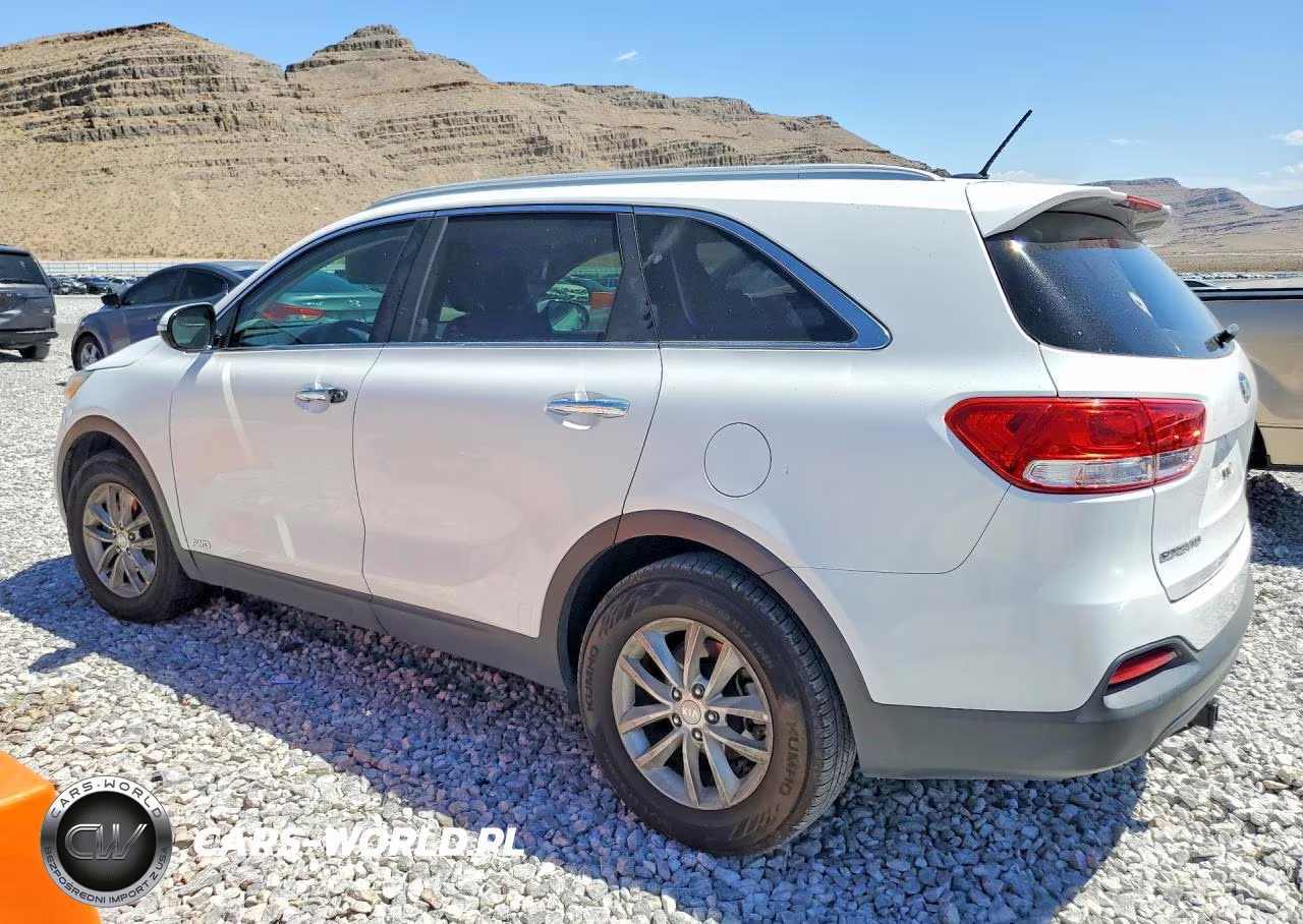 2017 Kia Sorento Lx VIN:5XYPGDA59HG196148 - 2