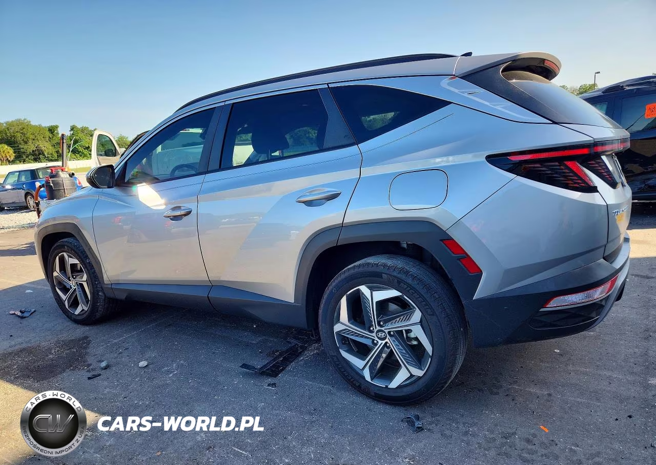 2023 Hyundai Tucson Sel VIN:5NMJFCAE5PH239441 - 2