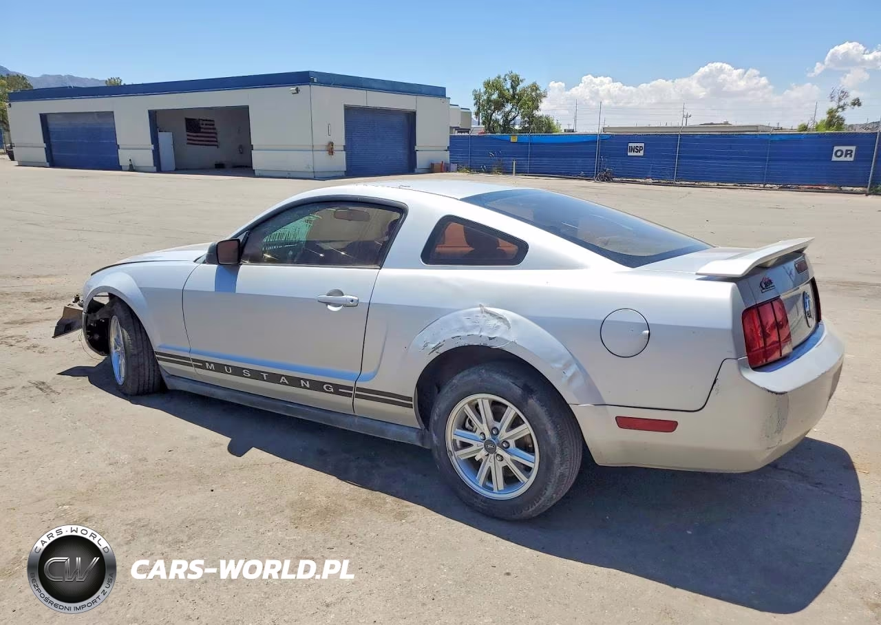 2005 Ford Mustang VIN:1ZVFT80N455127689 - 2