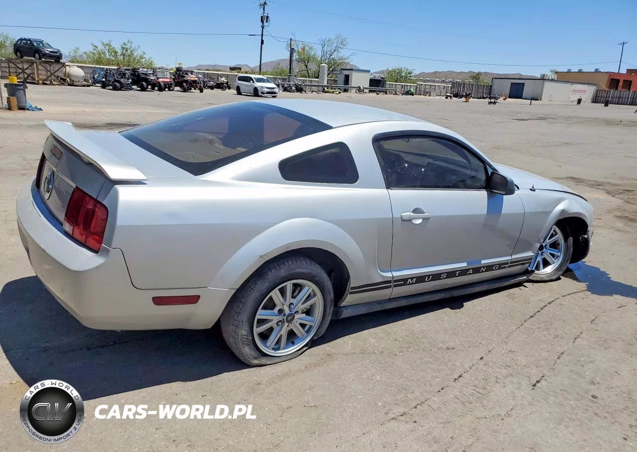 2005 Ford Mustang VIN:1ZVFT80N455127689 - 3