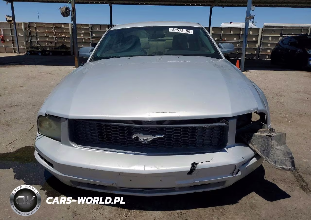 2005 Ford Mustang VIN:1ZVFT80N455127689 - 5