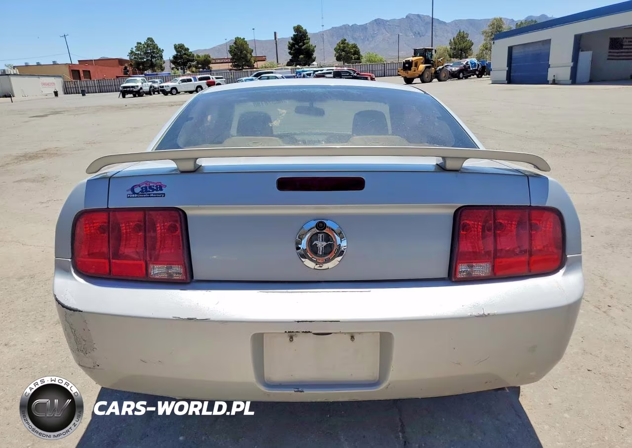 2005 Ford Mustang VIN:1ZVFT80N455127689 - 6