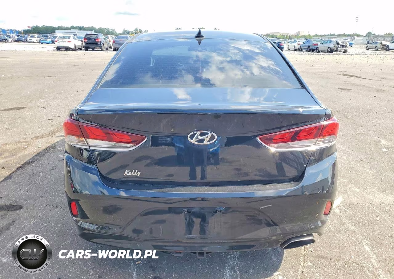 2019 Hyundai Sonata Se VIN:5NPE24AF5KH787706 - 6