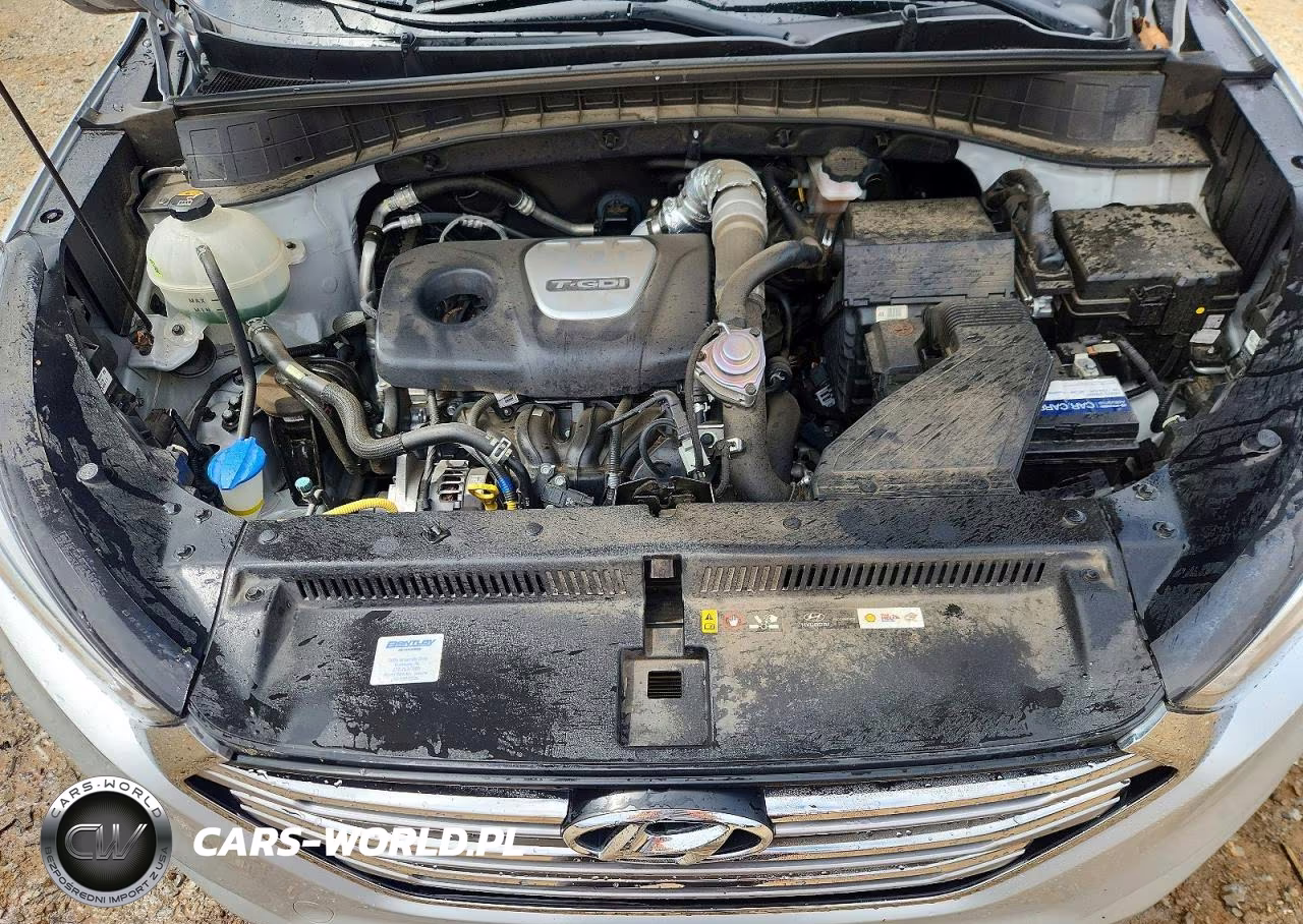 2017 Hyundai Tucson Limited VIN:KM8J33A28HU514756 - 12