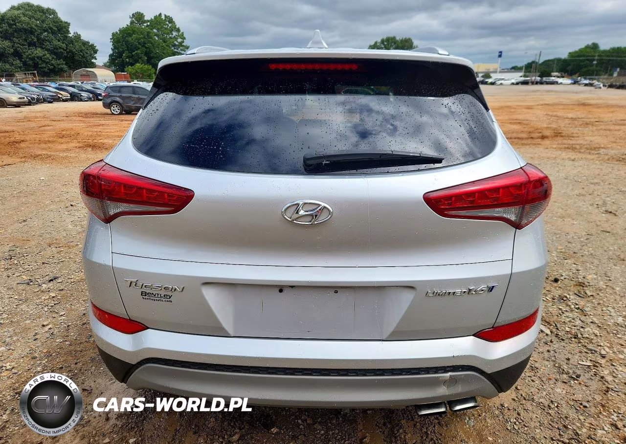 2017 Hyundai Tucson Limited VIN:KM8J33A28HU514756 - 6