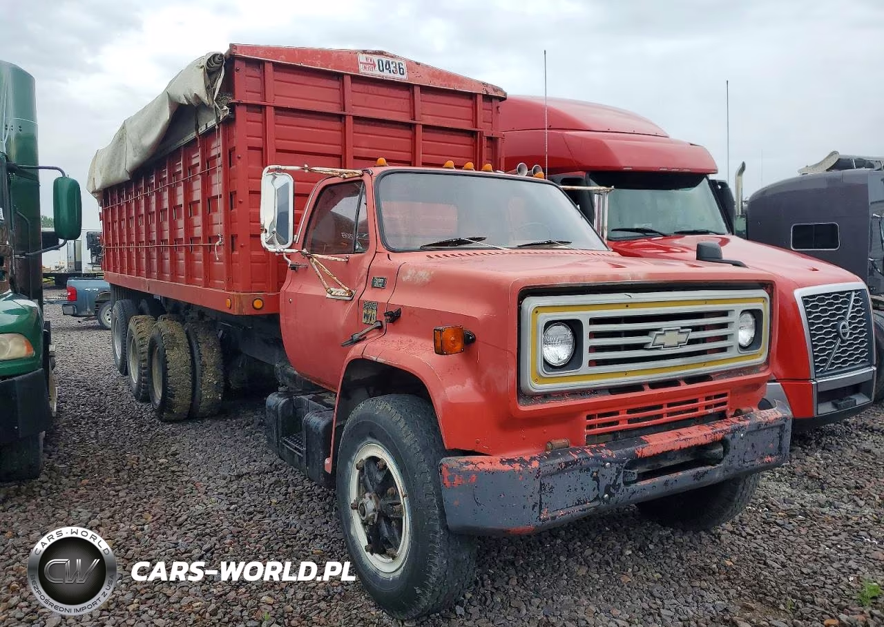 1979 Chevrolet Truck