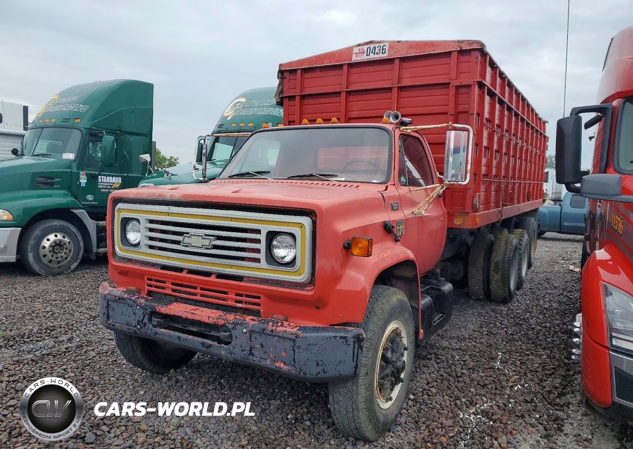 1979 Chevrolet Truck VIN:C47DE9V166796 - 2