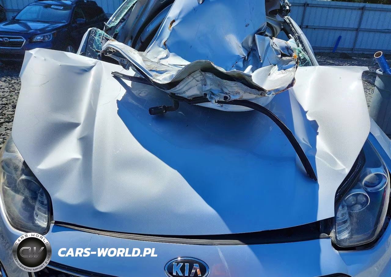 2018 Kia Borrego VIN:KNDPNCACXJ7486528 - 12