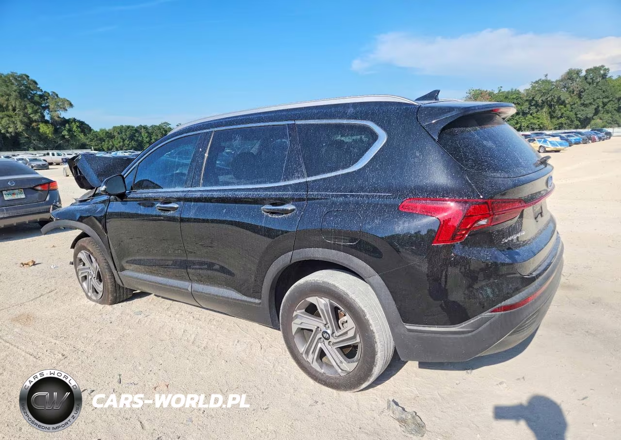 2023 Hyundai Santa Fe Sel VIN:5NMS2DAJ5PH583872 - 2