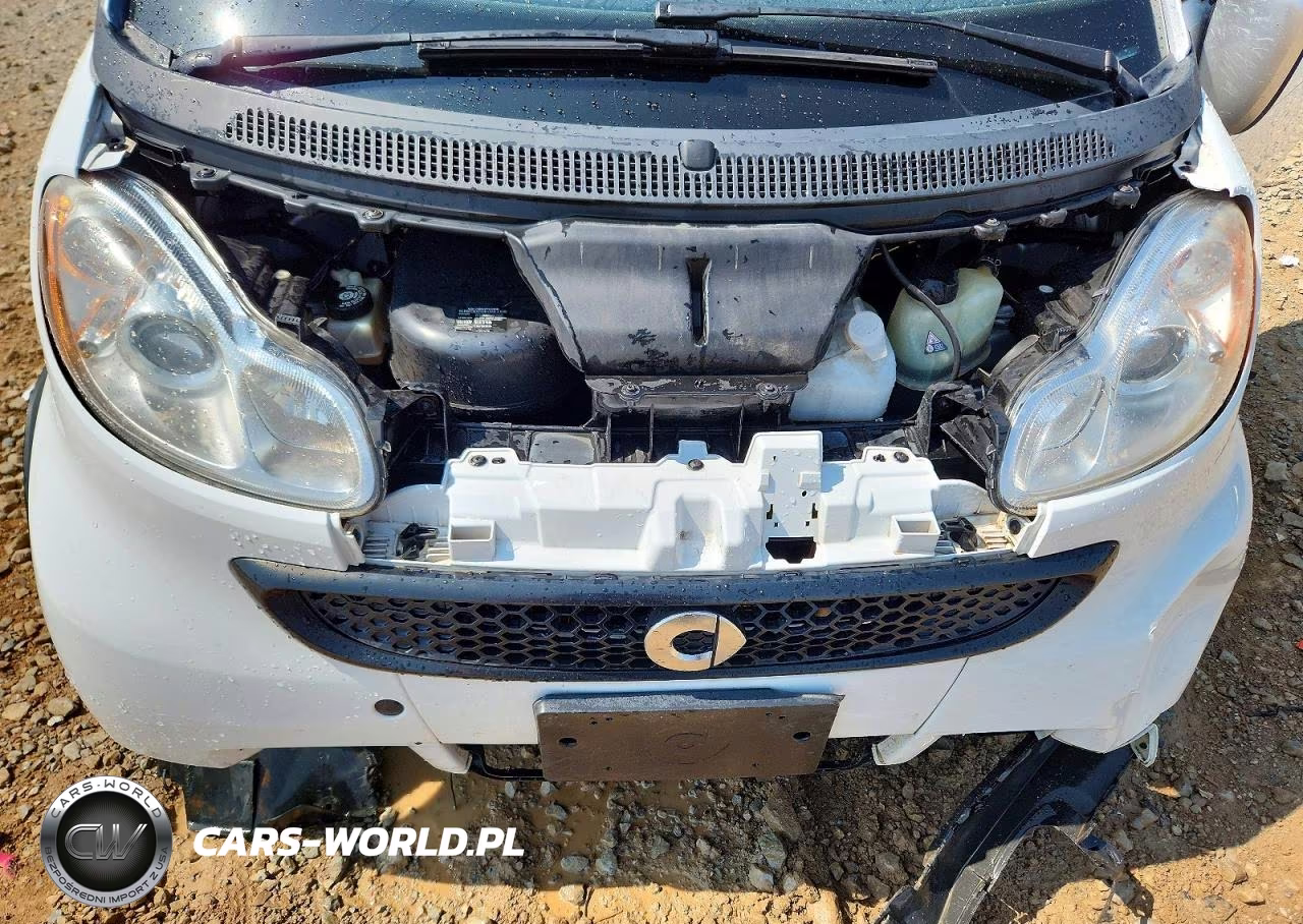 2014 Smart Fortwo Pure VIN:WMEEJ3BAXEK734166 - 11