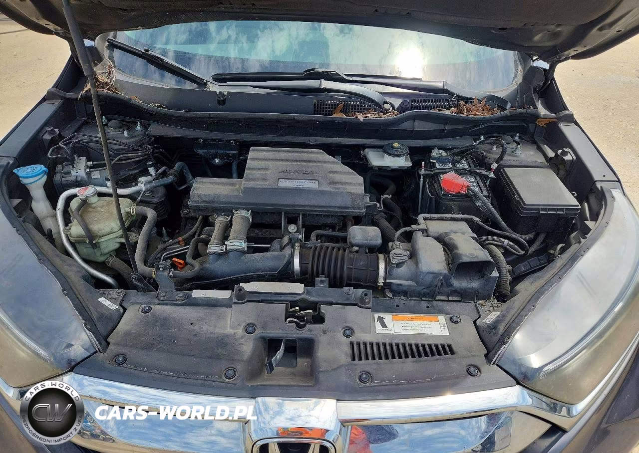 2019 Honda Cr-V Exl VIN:5J6RW1H88KA013060 - 12