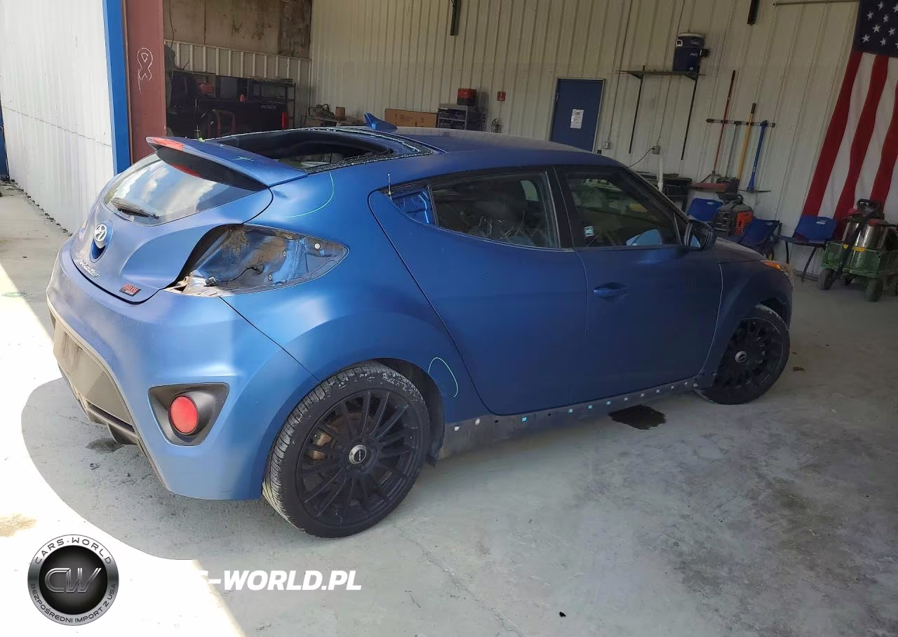 2016 Hyundai Veloster Turbo VIN:KMHTC6AE8GU260985 - 3