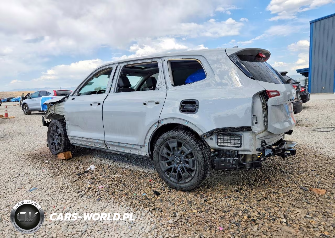 KIA TELLURIDE VIN:5XYP5DHC5NG236005 - 2
