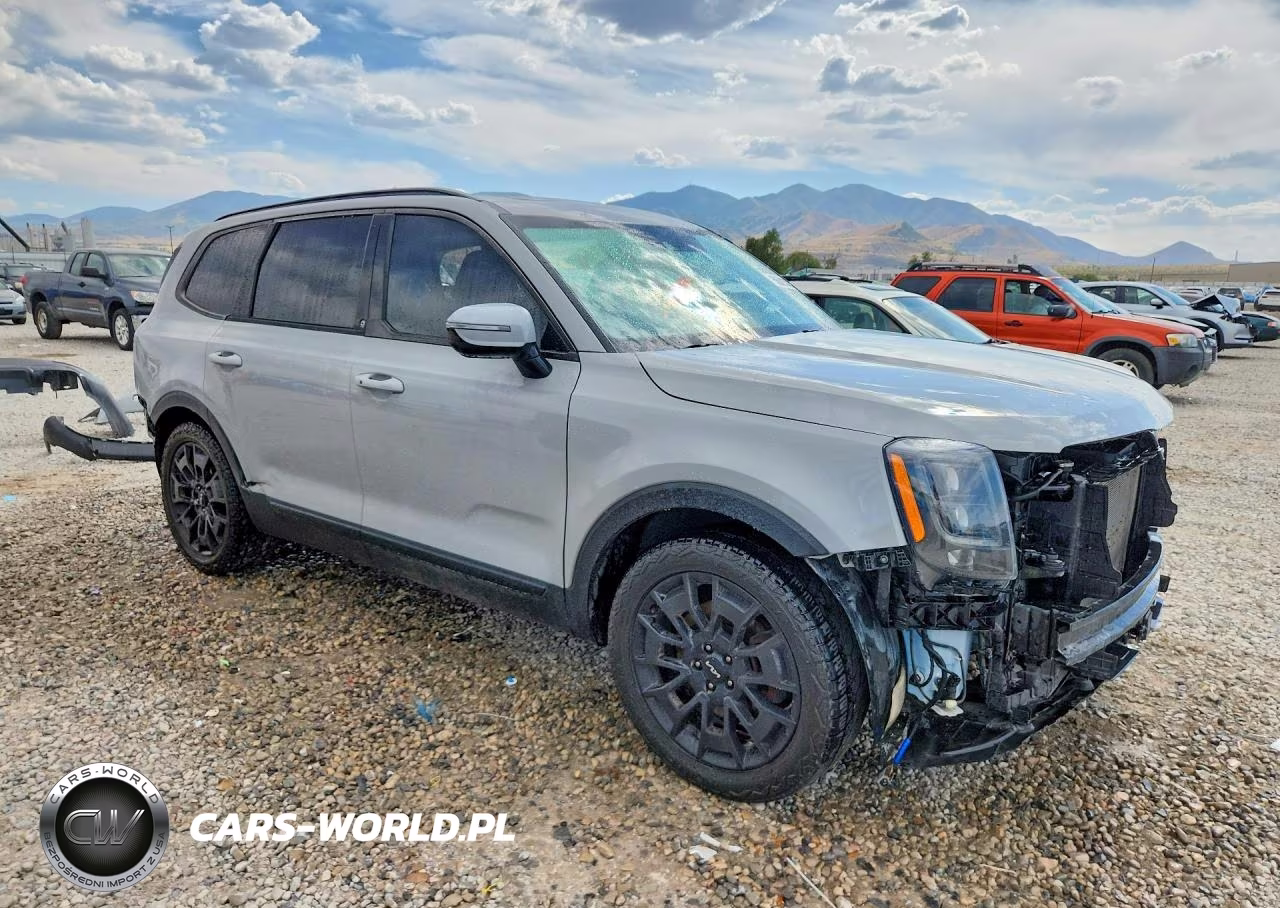 KIA TELLURIDE VIN:5XYP5DHC5NG236005 - 4