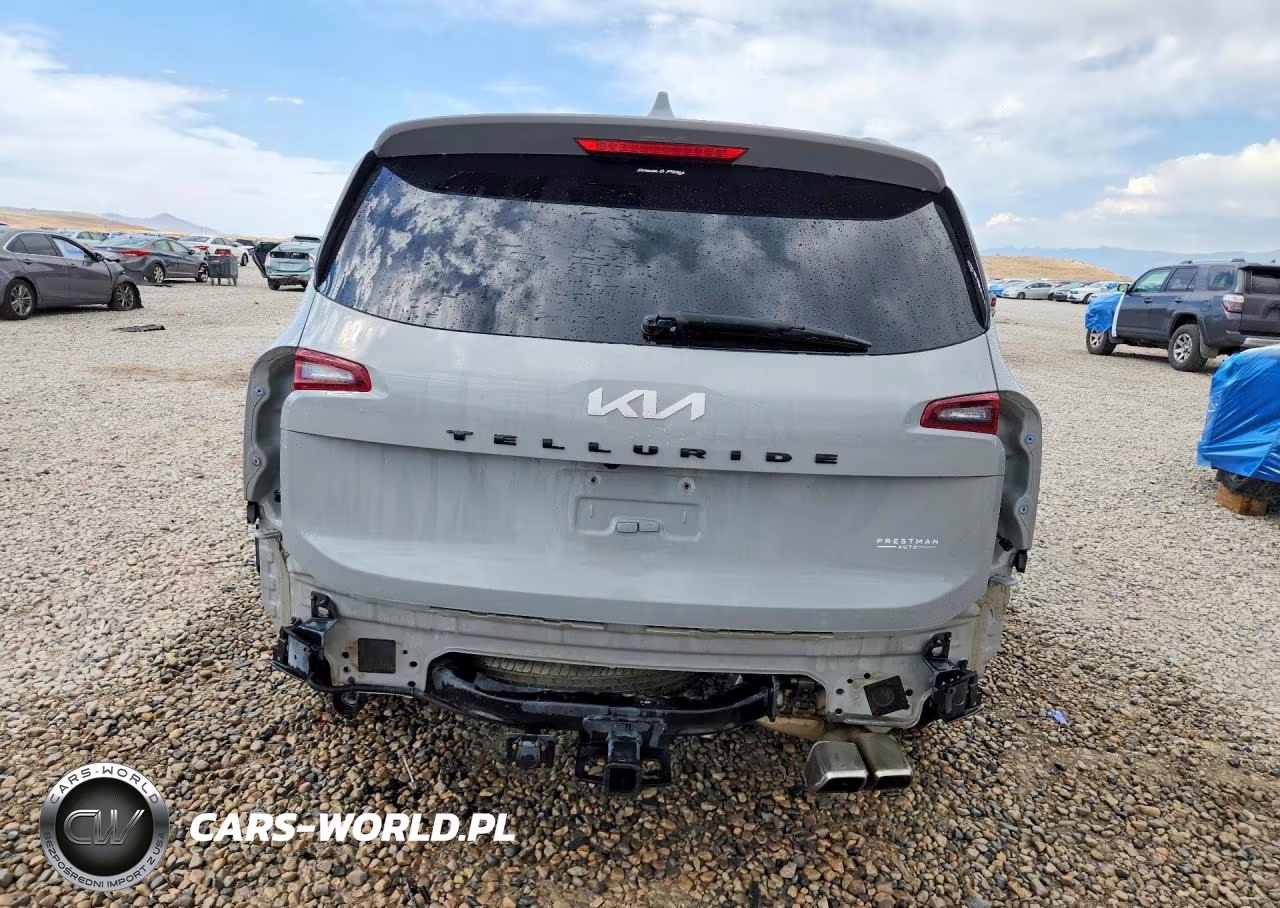 KIA TELLURIDE VIN:5XYP5DHC5NG236005 - 6