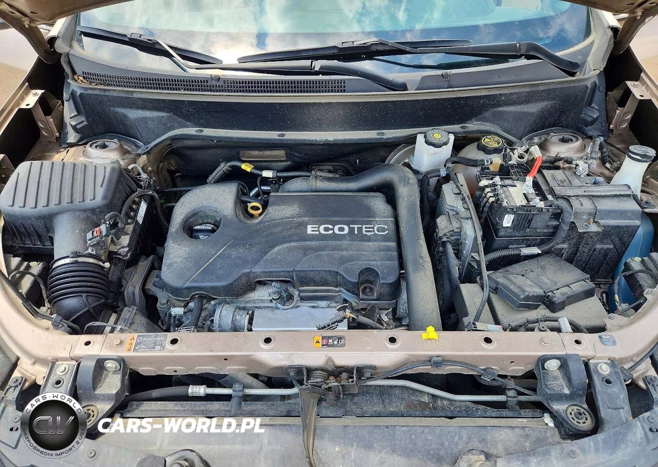 2019 Chevrolet Equinox Lt VIN:2GNAXKEV0K6236004 - 12