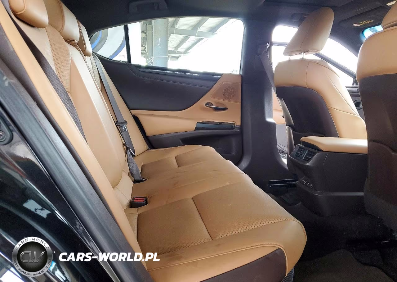 2021 Lexus Es 300H Base VIN:58ACA1C16MU004058 - 10