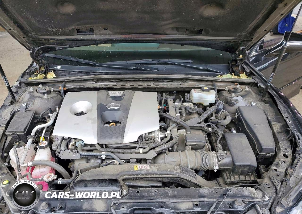 2021 Lexus Es 300H Base VIN:58ACA1C16MU004058 - 11