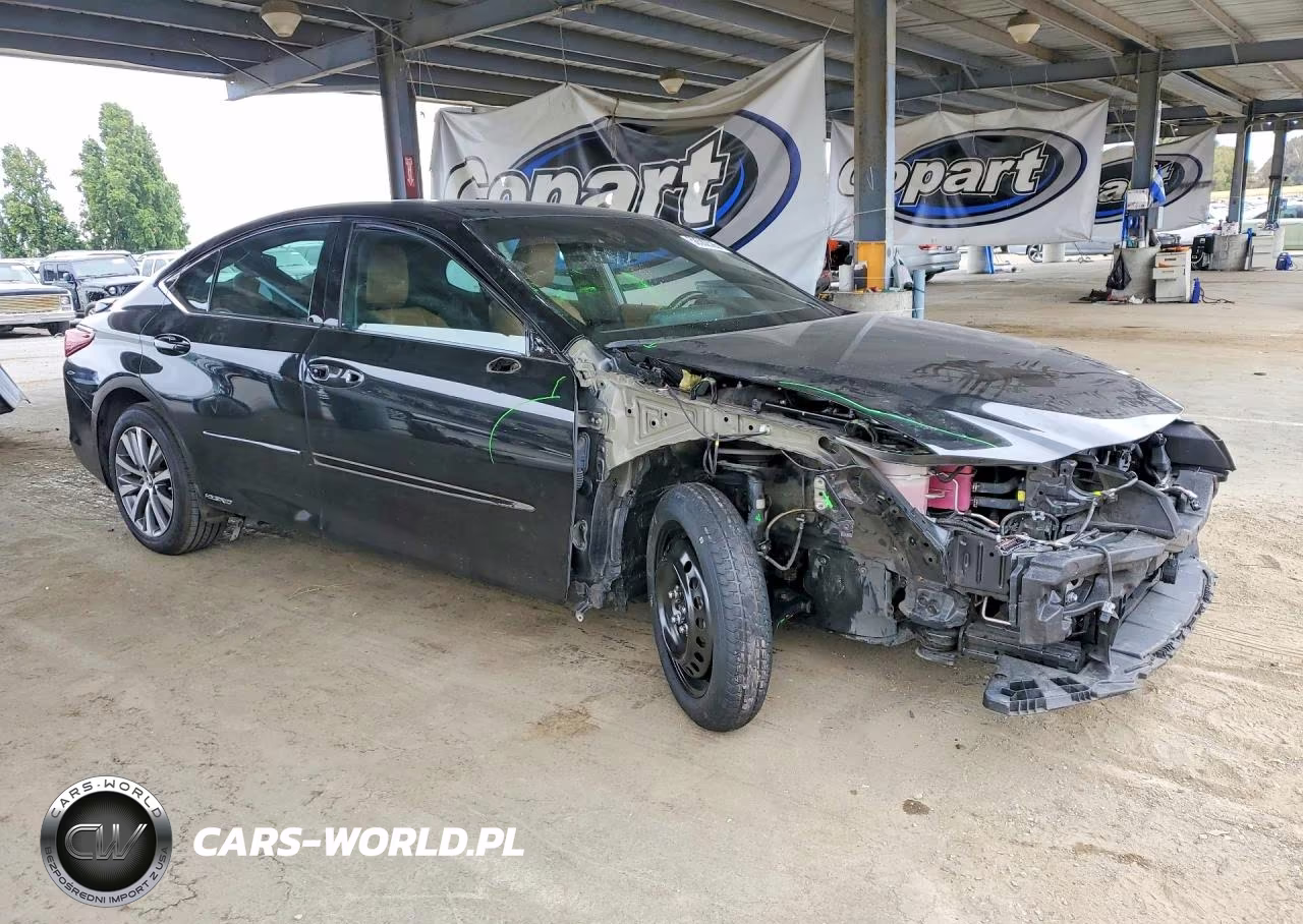 2021 Lexus Es 300H Base VIN:58ACA1C16MU004058 - 4