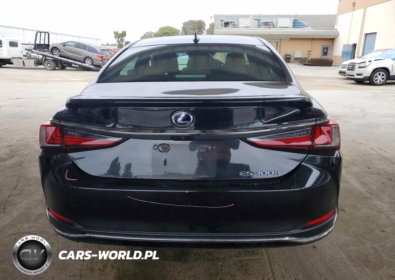 2021 Lexus Es 300H Base VIN:58ACA1C16MU004058 - 6