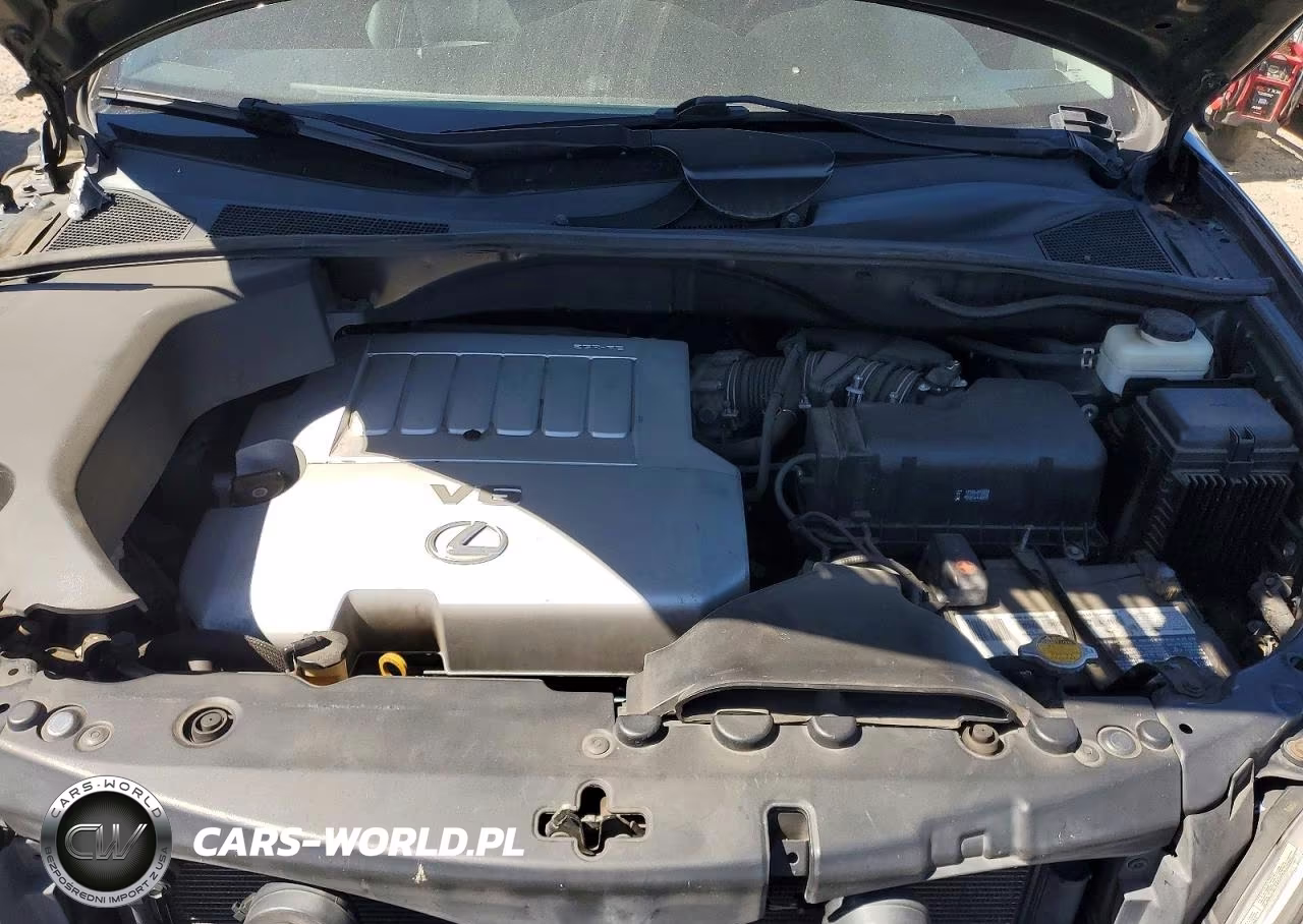 2009 Lexus Rx 350 VIN:2T2GK31UX9C062290 - 12