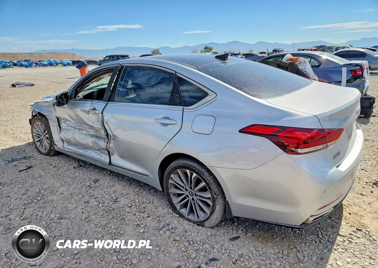 2016 Hyundai Genesis 3.8L VIN:KMHGN4JE4GU134655 - 2