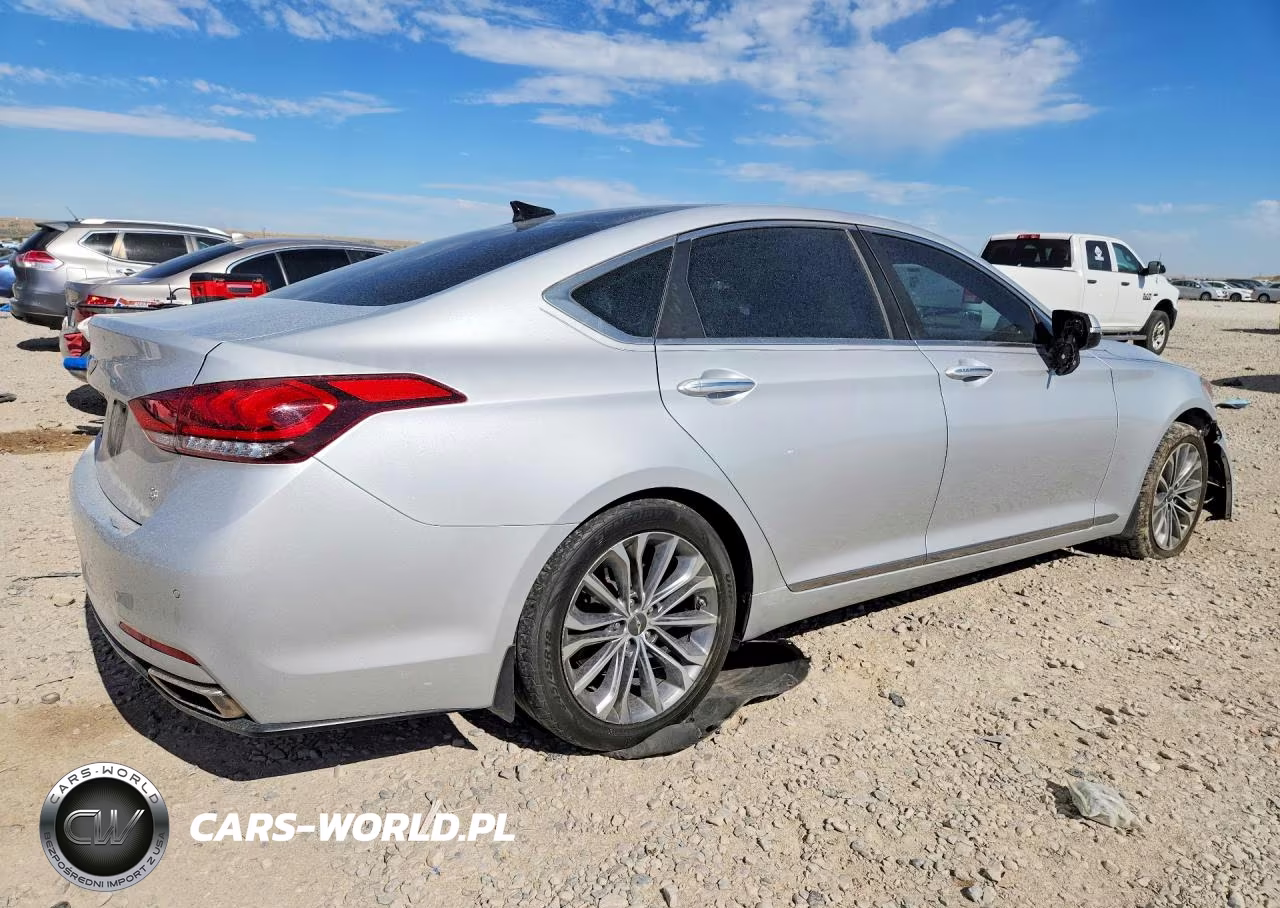 2016 Hyundai Genesis 3.8L VIN:KMHGN4JE4GU134655 - 3