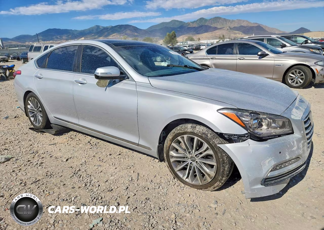 2016 Hyundai Genesis 3.8L VIN:KMHGN4JE4GU134655 - 4