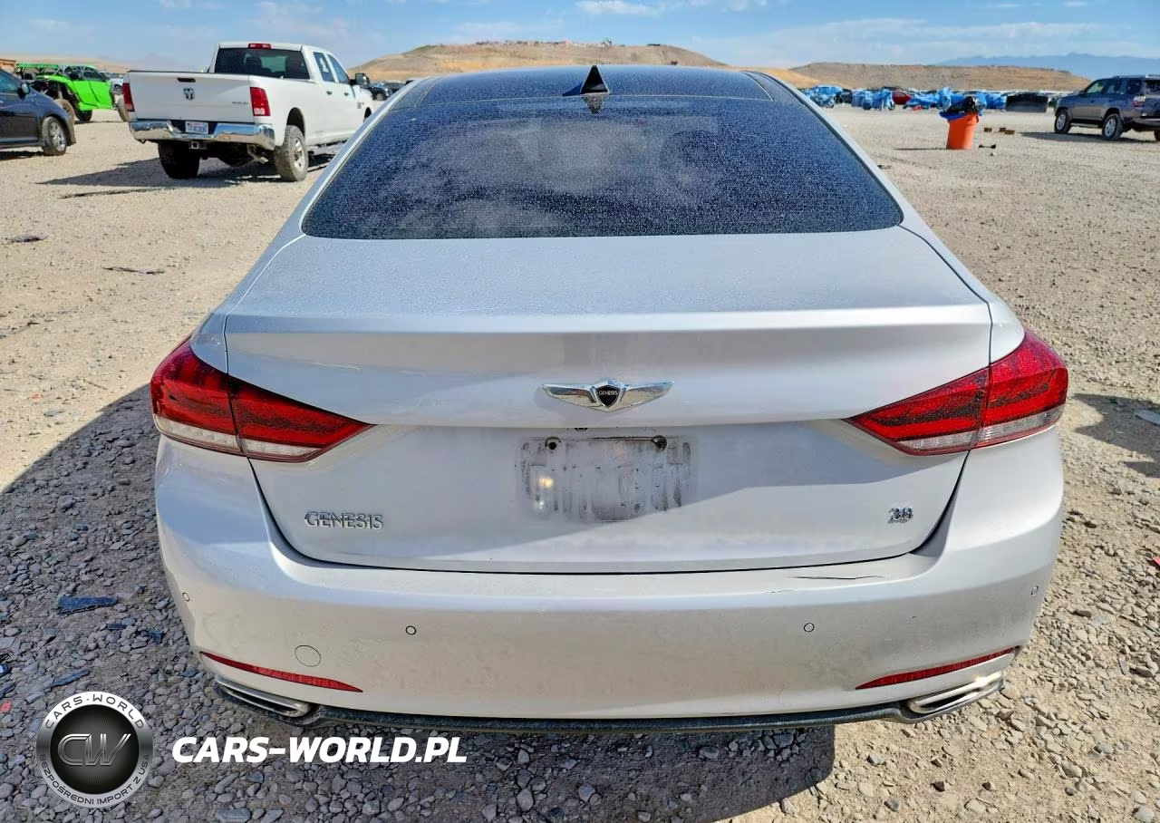 2016 Hyundai Genesis 3.8L VIN:KMHGN4JE4GU134655 - 6