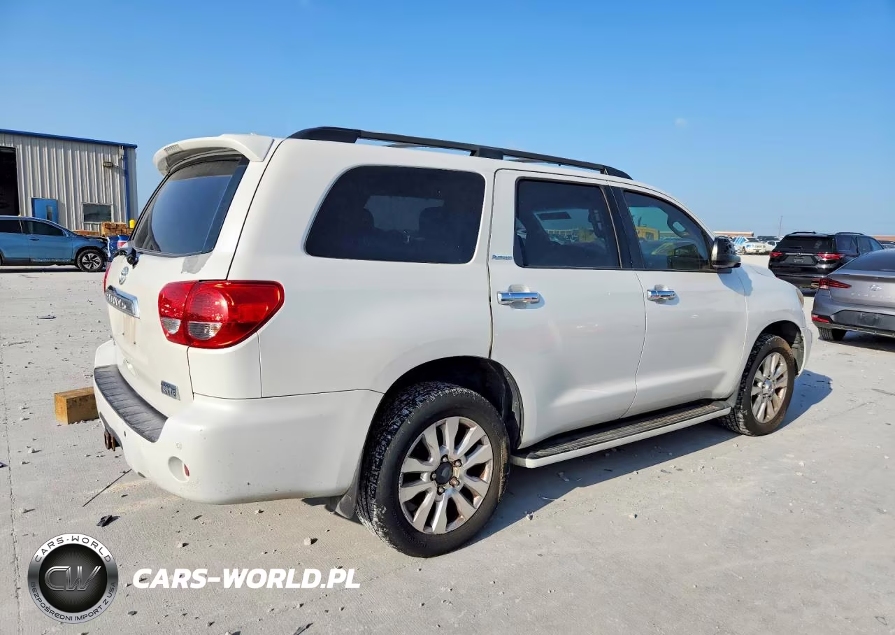 2010 Toyota Sequoia Platinum VIN:5TDYY5G18AS029736 - 3