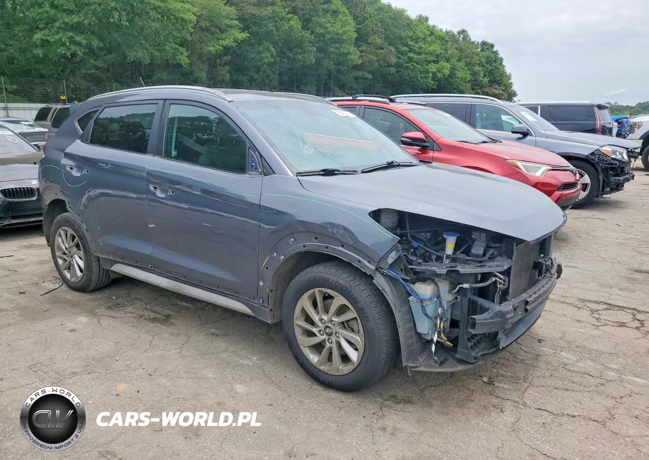 2017 Hyundai Tucson Se VIN:KM8J33A46HU416312 - 4